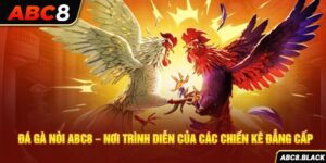 Đá Gà Nòi ABC8 – Nơi Trình Diễn Của Các Chiến Kê Đẳng Cấp