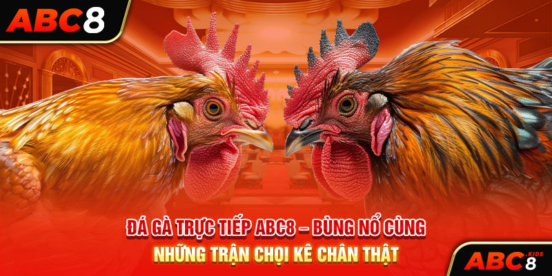 Đá Gà Trực Tiếp ABC8 – Bùng Nổ Cùng Những Trận Chọi Kê Chân Thật